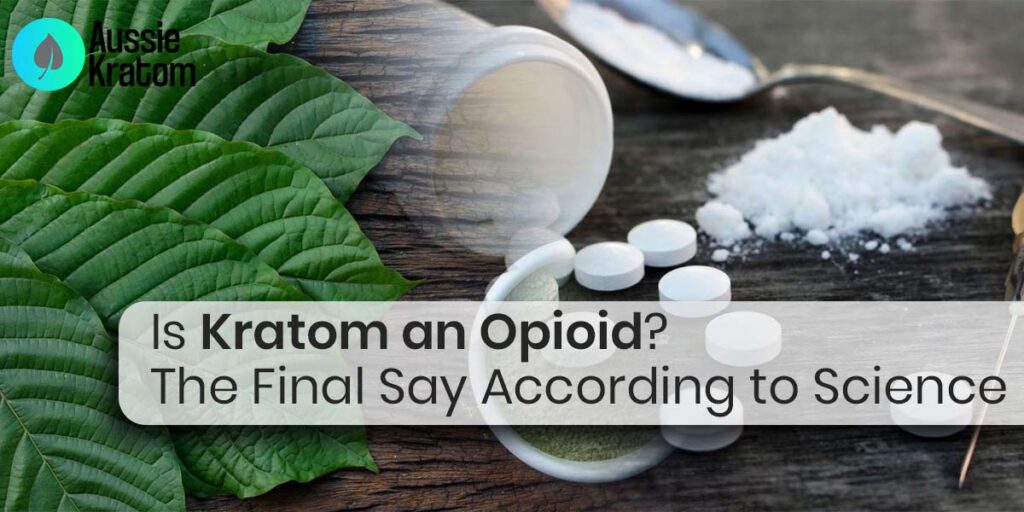 Is Kratom an Opioid? The Final Say According to Science
