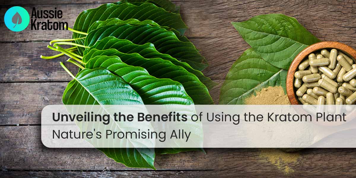 Unveiling the Benefits of Using the Kratom Plant